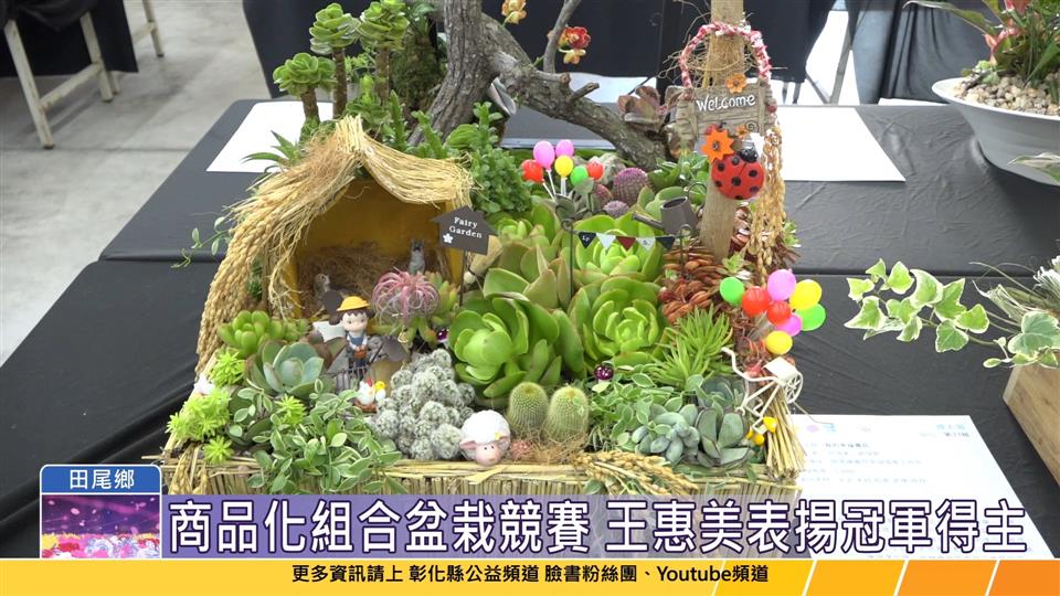 113-09-29 花都田尾之美 第四屆商品化組合盆栽競賽成果發表